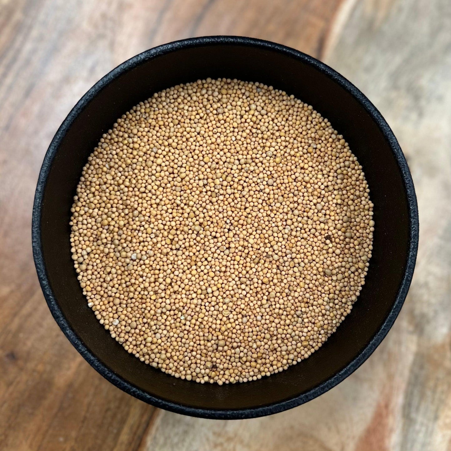 Yellow Mustard Seed Whole (Sinapis Alba)-1