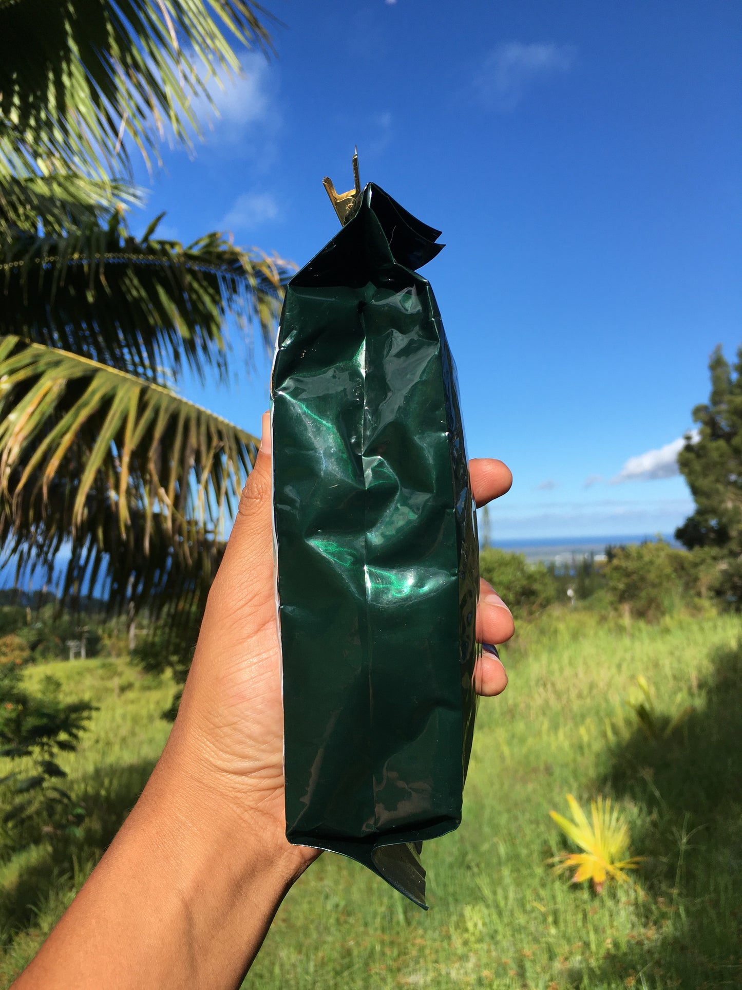 100% Ka'u Coffee-1