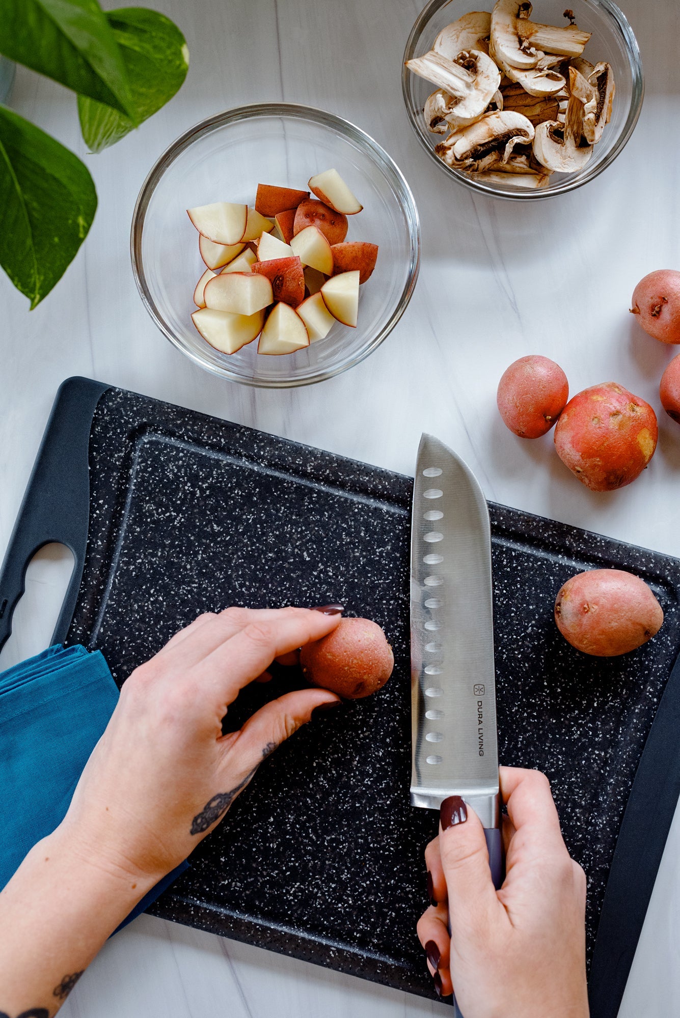 Superior 7 inch Santoku Knife - Royal Blue-3